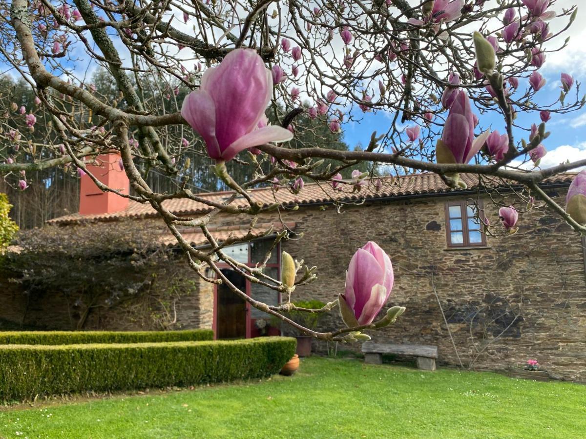 Casa Castro De Crecente Villa Valdoviño Eksteriør billede