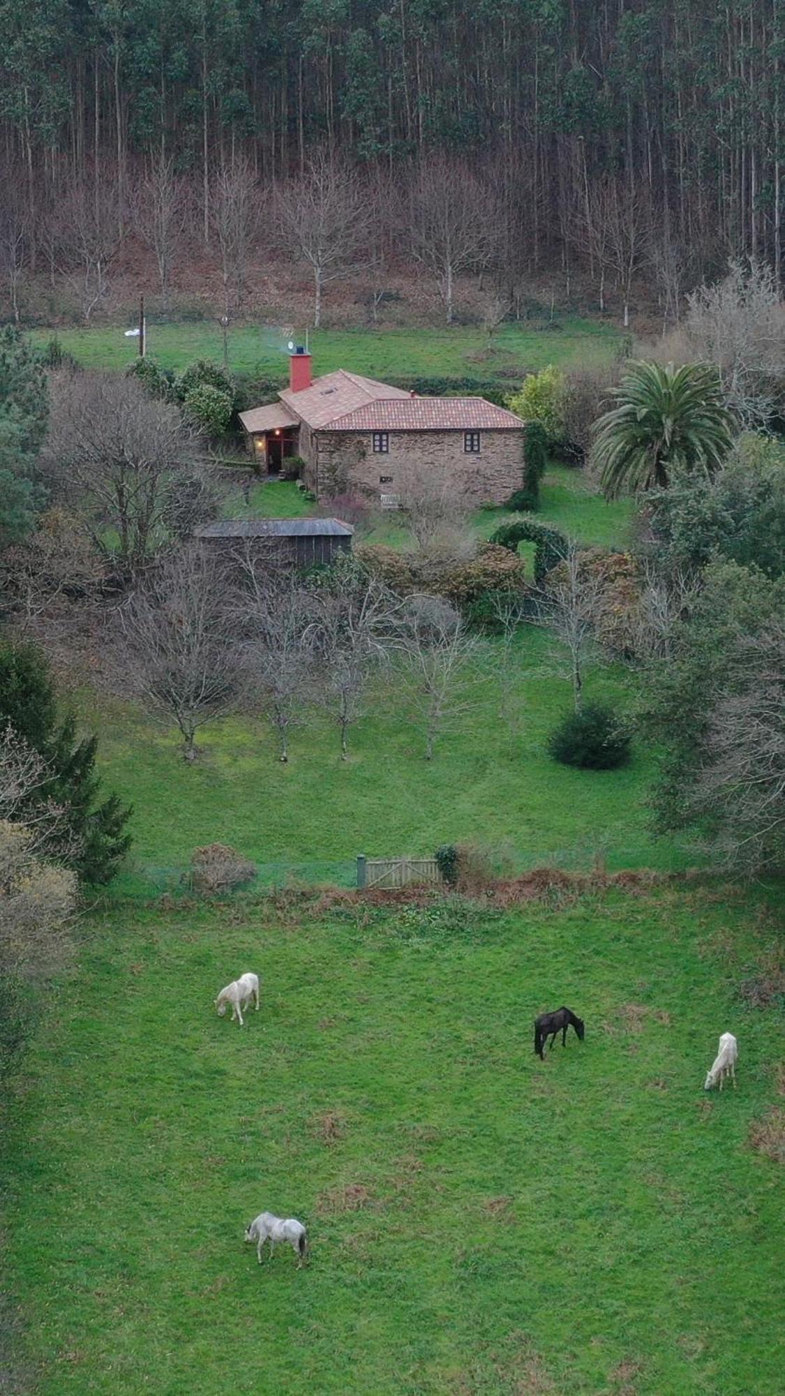 Casa Castro De Crecente Villa Valdoviño Eksteriør billede